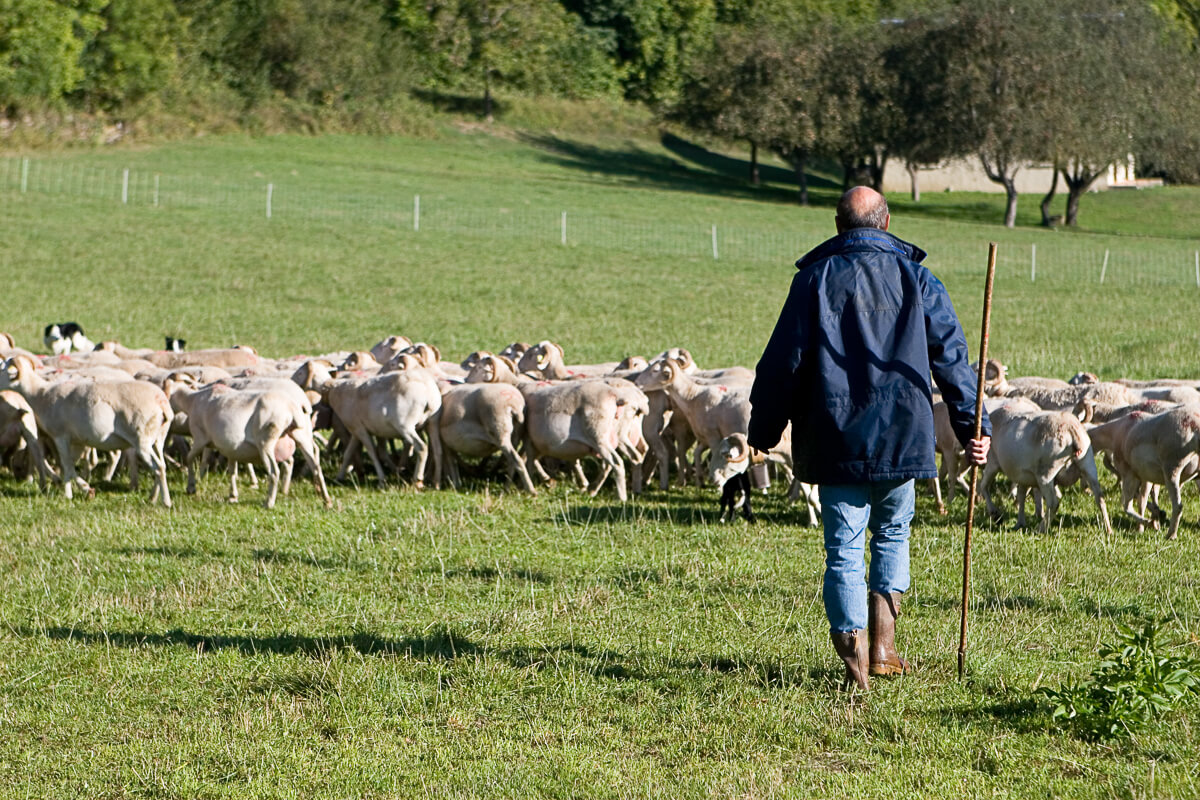 Pastoralisme en vallée du Louron