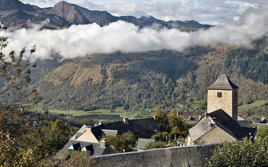 ode mont41